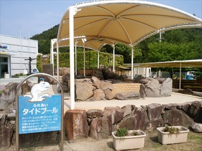 渋川マリン水族館 